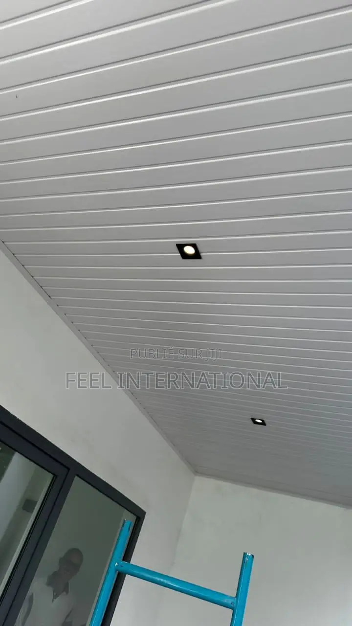 Faux Plafond PVC