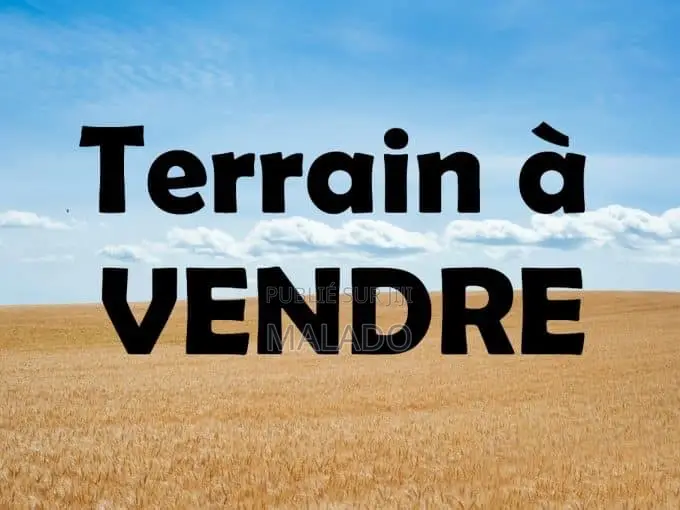 Terrain Zone Du Port De Ndayane