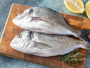 Vente De Poissons Frais
