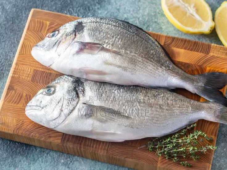 Vente De Poissons Frais