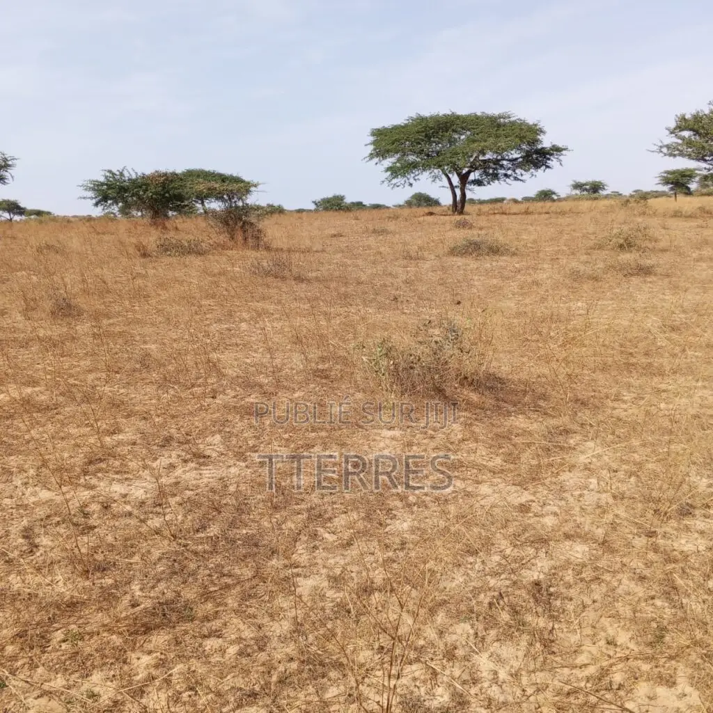 Terrain Agricole De 10 Hectares Vers Kab Gaye