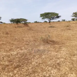 Terrain Agricole De 10 Hectares Vers Kab Gaye