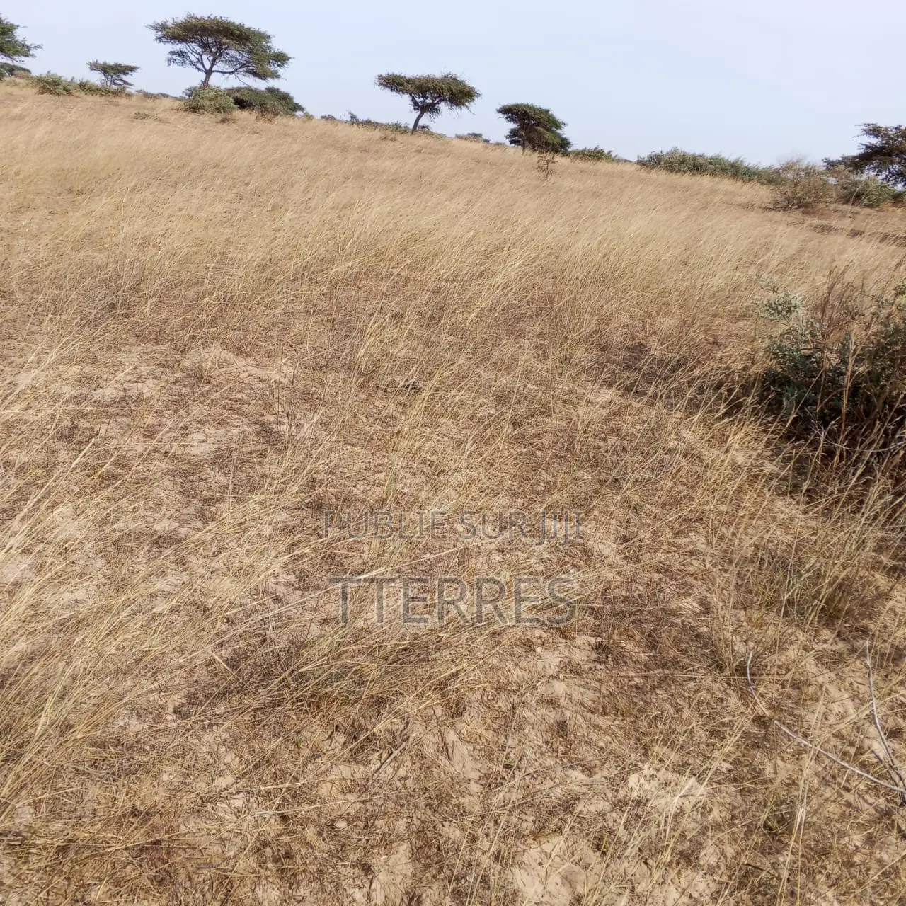Terrain Agricole De 10 Hectares Vers Kab Gaye