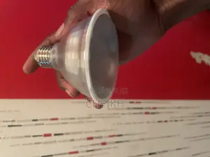 Ampoules Spot De Marque Megaman