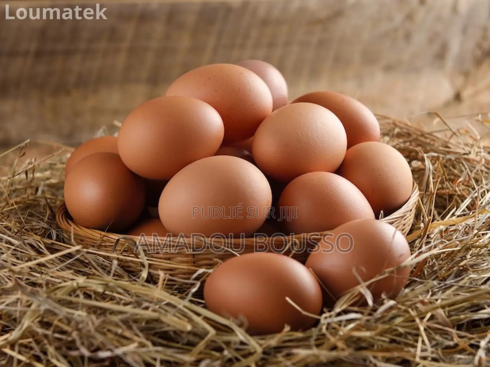 Oeuf Goliath