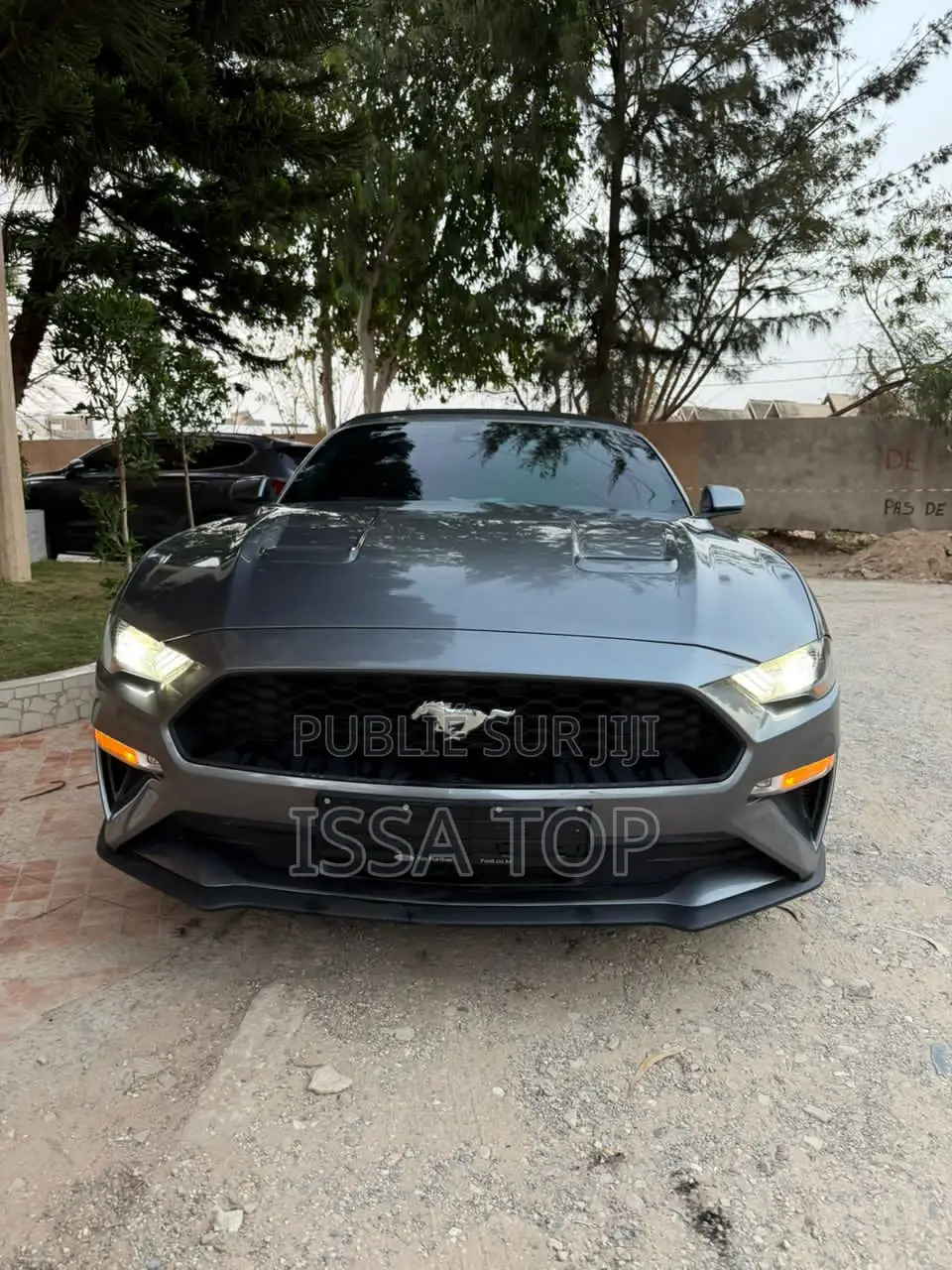 Ford Mustang 2023 Gris
