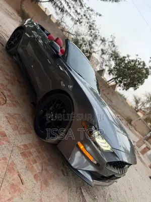 Ford Mustang 2023 Gris