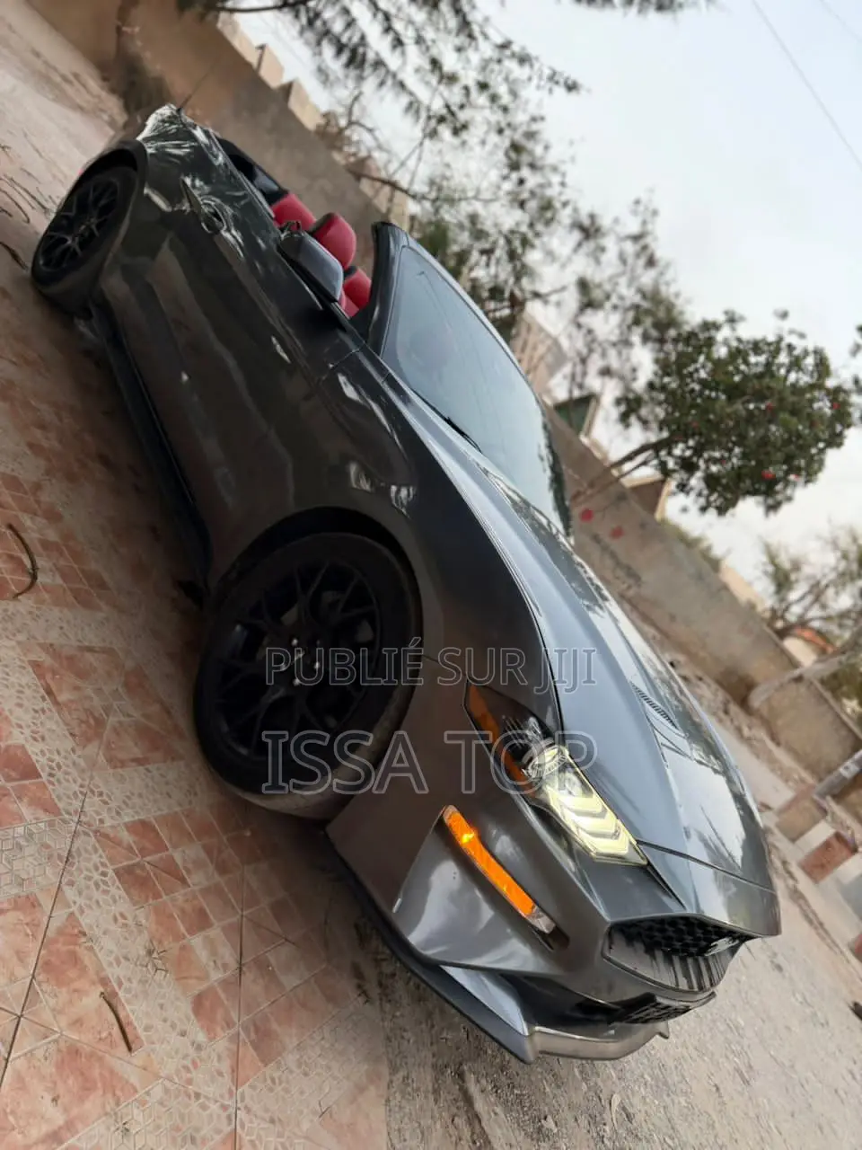 Ford Mustang 2023 Gris