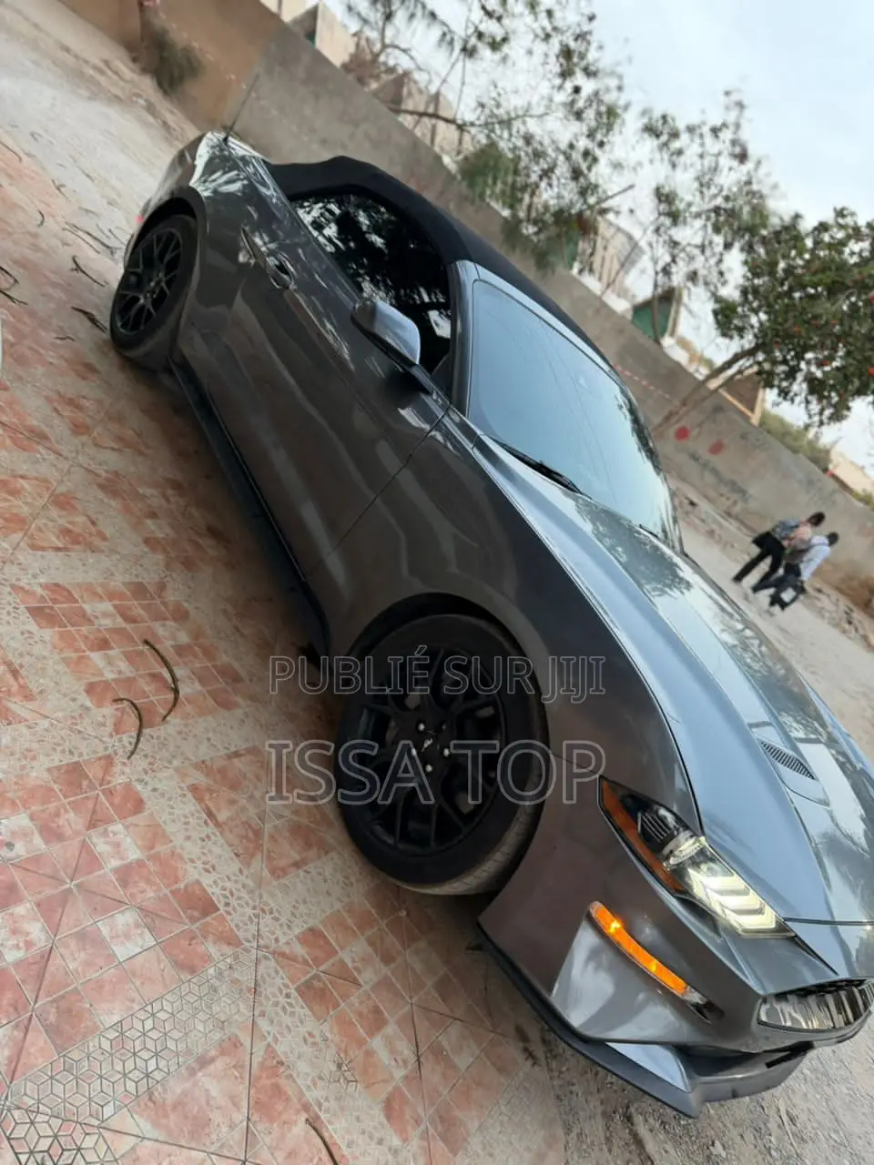 Ford Mustang 2023 Gris