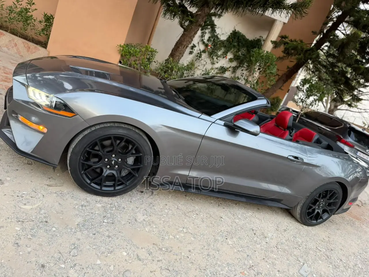 Ford Mustang 2023 Gris