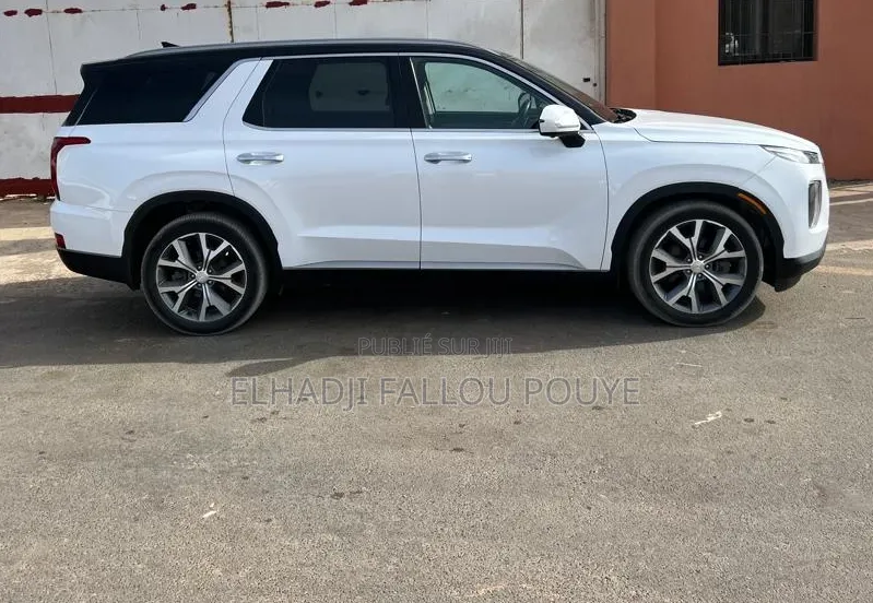 Hyundai Palissade 2020 Blanc