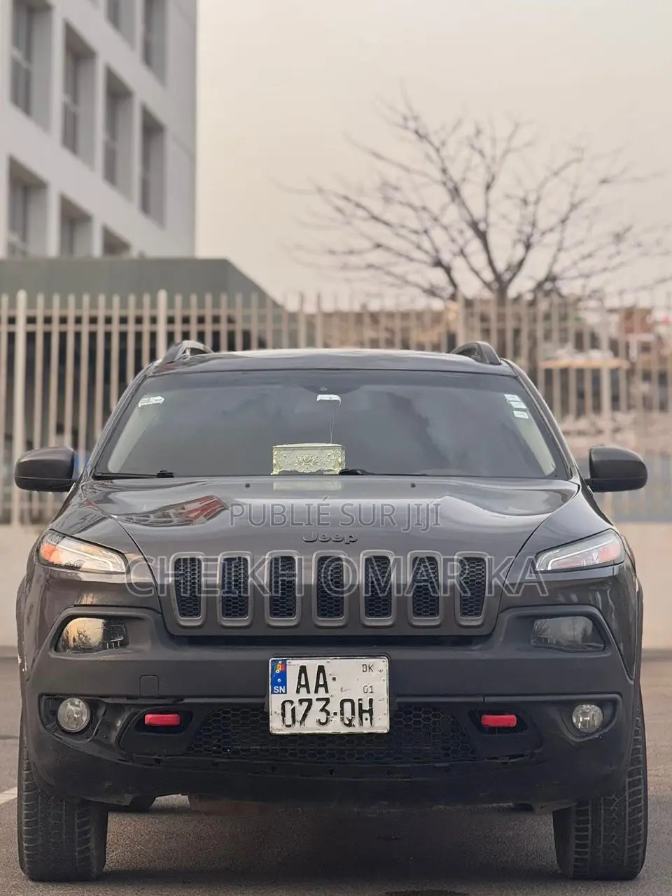 Jeep Cherokee Trailhawk 4x4 2017 Gris