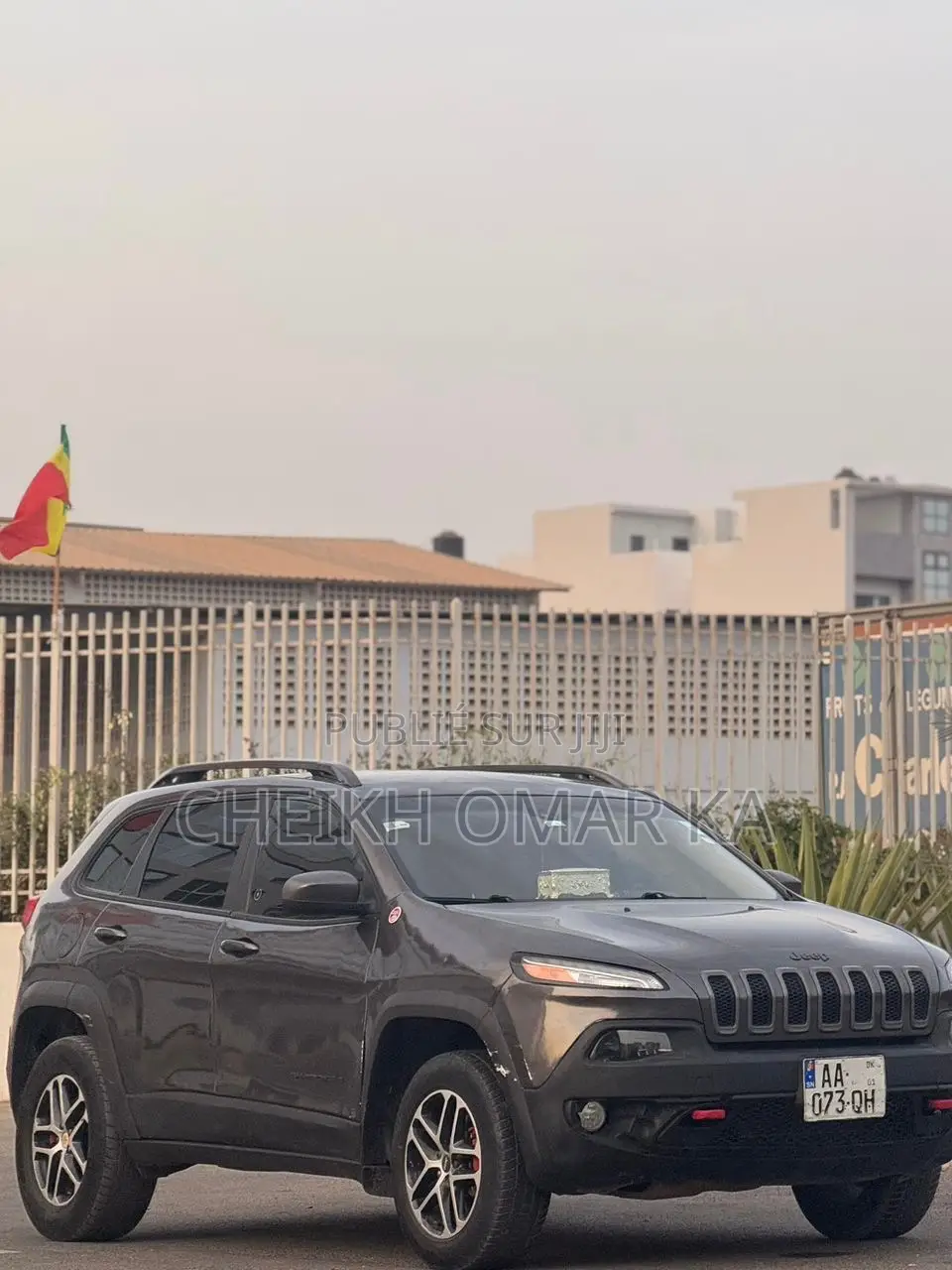 Jeep Cherokee Trailhawk 4x4 2017 Gris