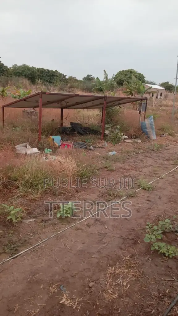 Verger Agricole De 2 Hectares Vers Diossong