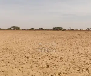 Terrain Agricole De 2 Hectares Vers Tassette – Thiès