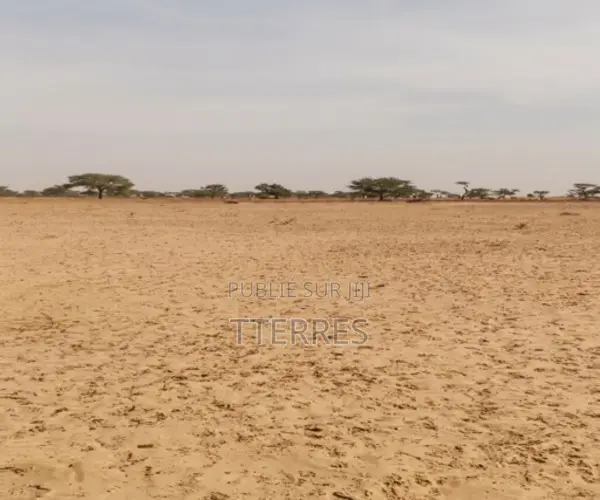 Terrain Agricole De 2 Hectares Vers Tassette – Thiès
