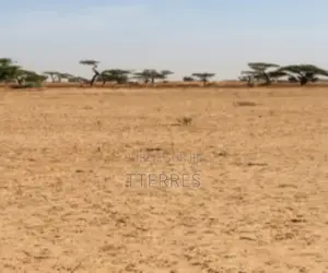 Terrain Agricole De 2 Hectares Vers Tassette – Thiès