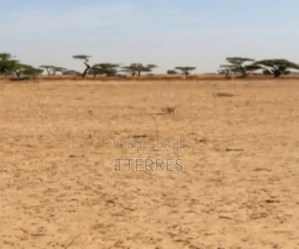 Terrain Agricole De 2 Hectares Vers Tassette – Thiès