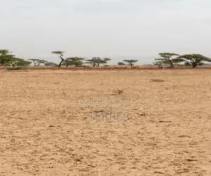 Terrain Agricole De 2 Hectares Vers Tassette – Thiès