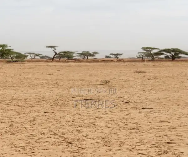 Terrain Agricole De 2 Hectares Vers Tassette – Thiès