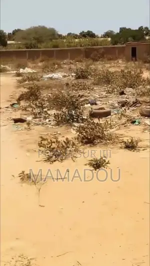 Des Terrains À Vendre Yene Ndoukhoura Peulh