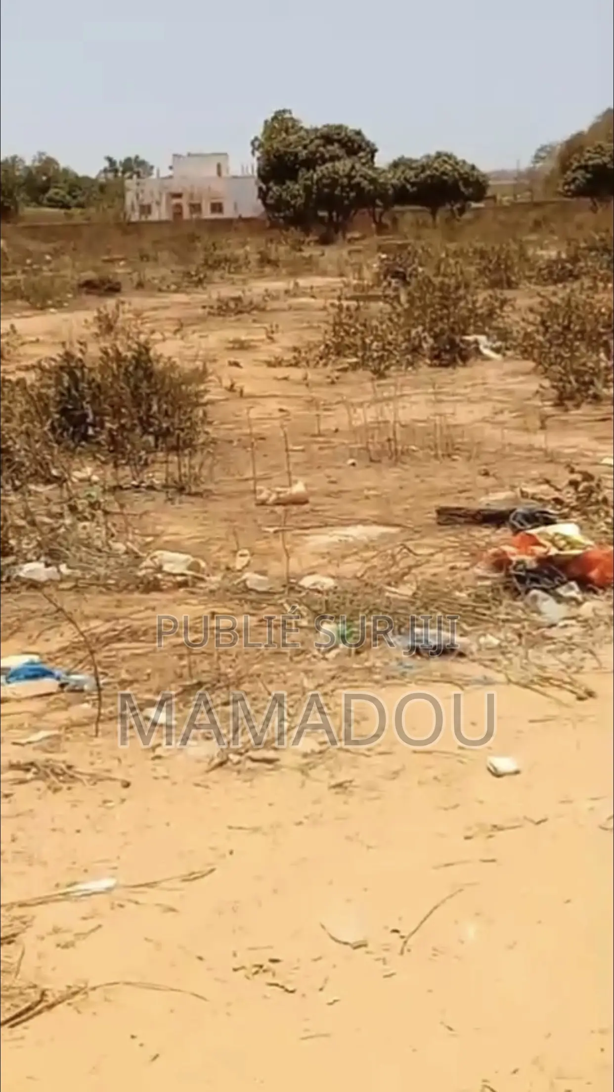 Des Terrains À Vendre Yene Ndoukhoura Peulh