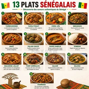 13 Plats National Sénégalais