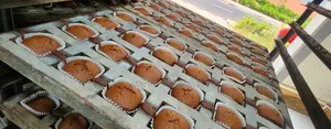 Muffins Aux Pépites De Chocolat