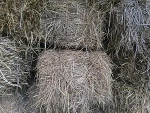 Bottes De Pailles De Riz