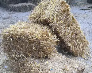 Bottes De Pailles De Riz