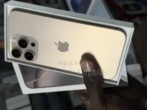 Apple iPhone 16 Pro Max 256 GB Autre