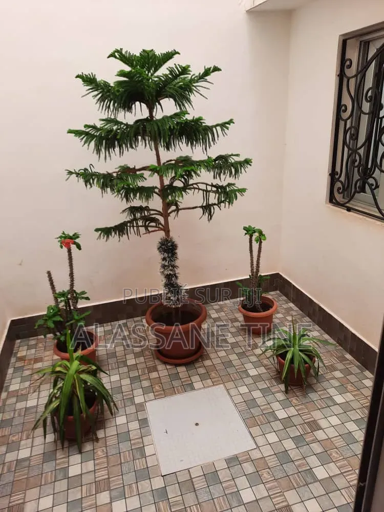 5chbre Villa dans Dakar Plateau à Louer