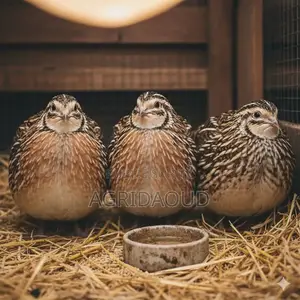 Les Produits De La Ferme