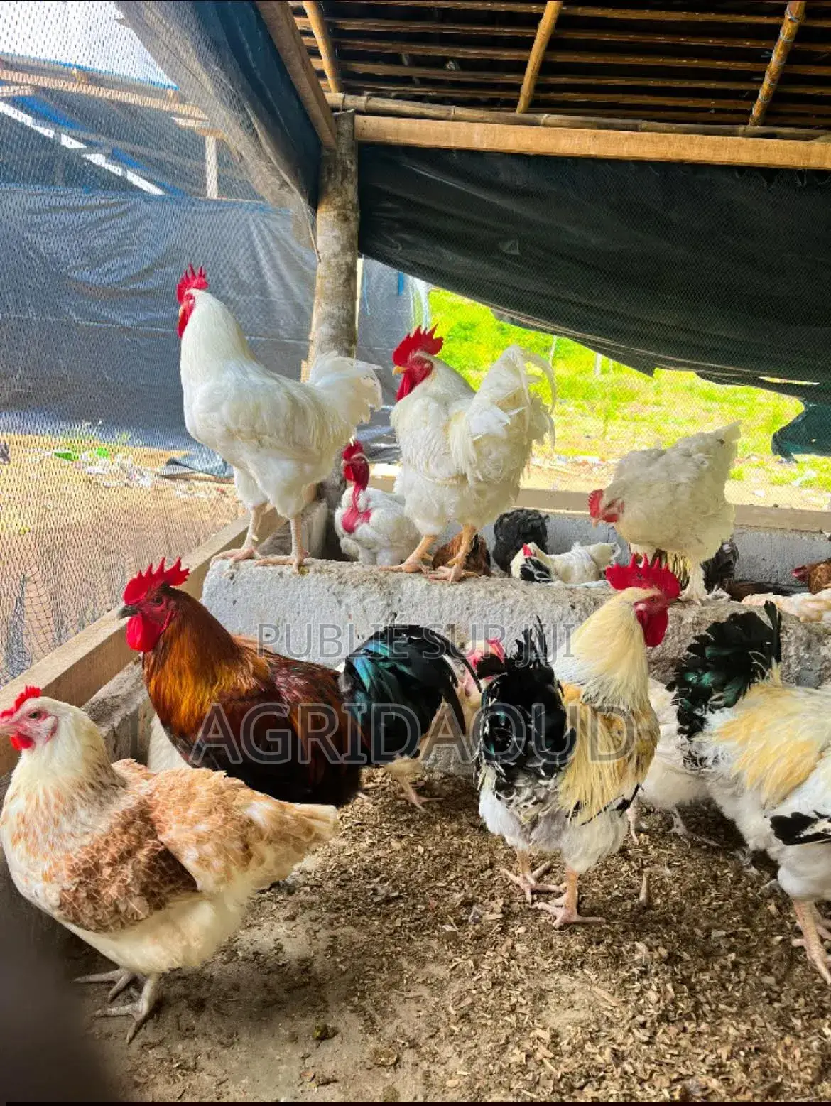 Les Produits De La Ferme