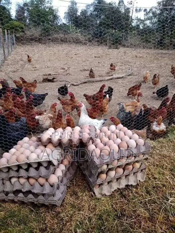 Les Produits De La Ferme