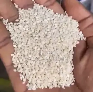 Sésame Blanc