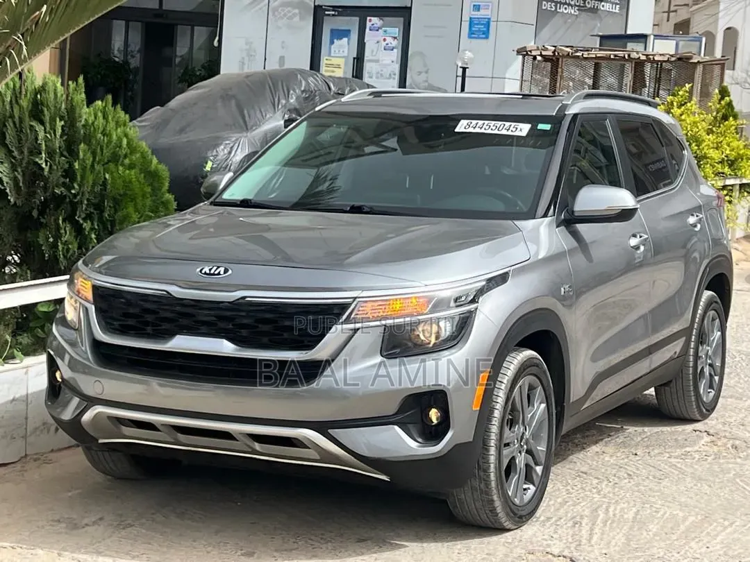 Kia Seltos 2021 Gris