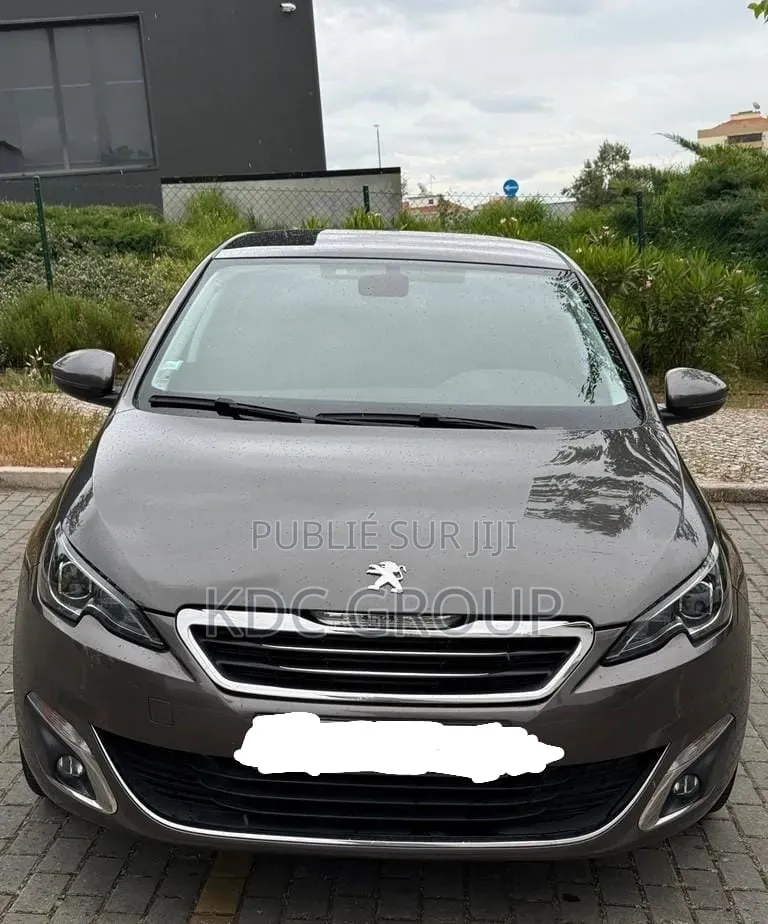 Peugeot 308 2006 Autre