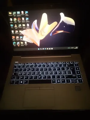 Nouveau HP EliteBook 840 G5 16GB Intel Core i5 SSD 250GB