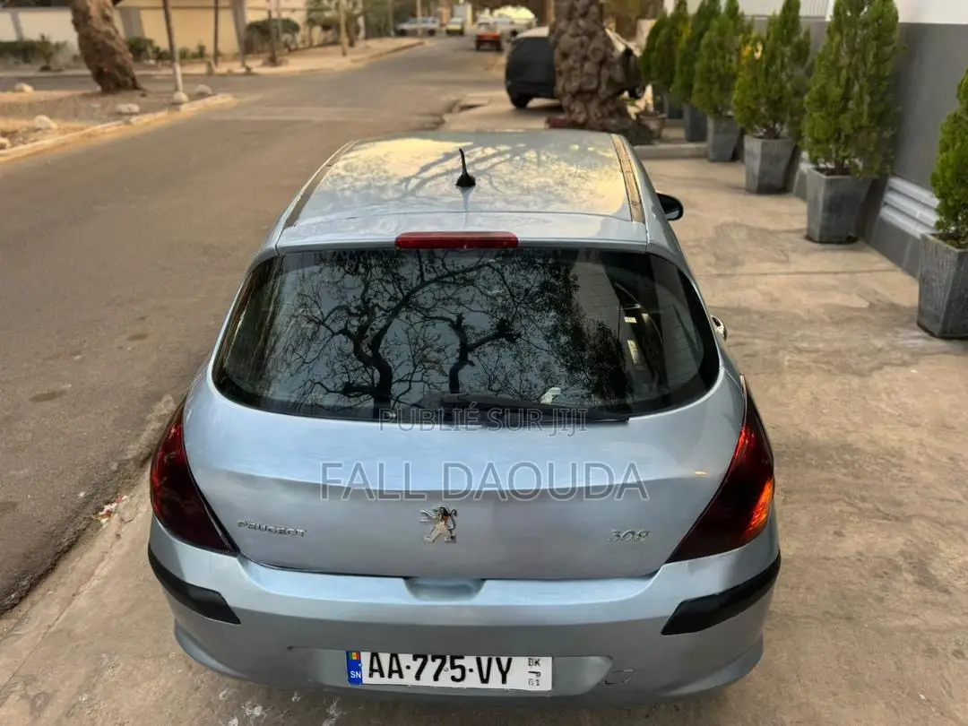Peugeot 308 2009 Gris