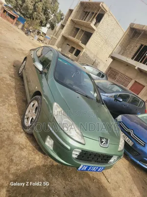 Peugeot 407 2008 Vert