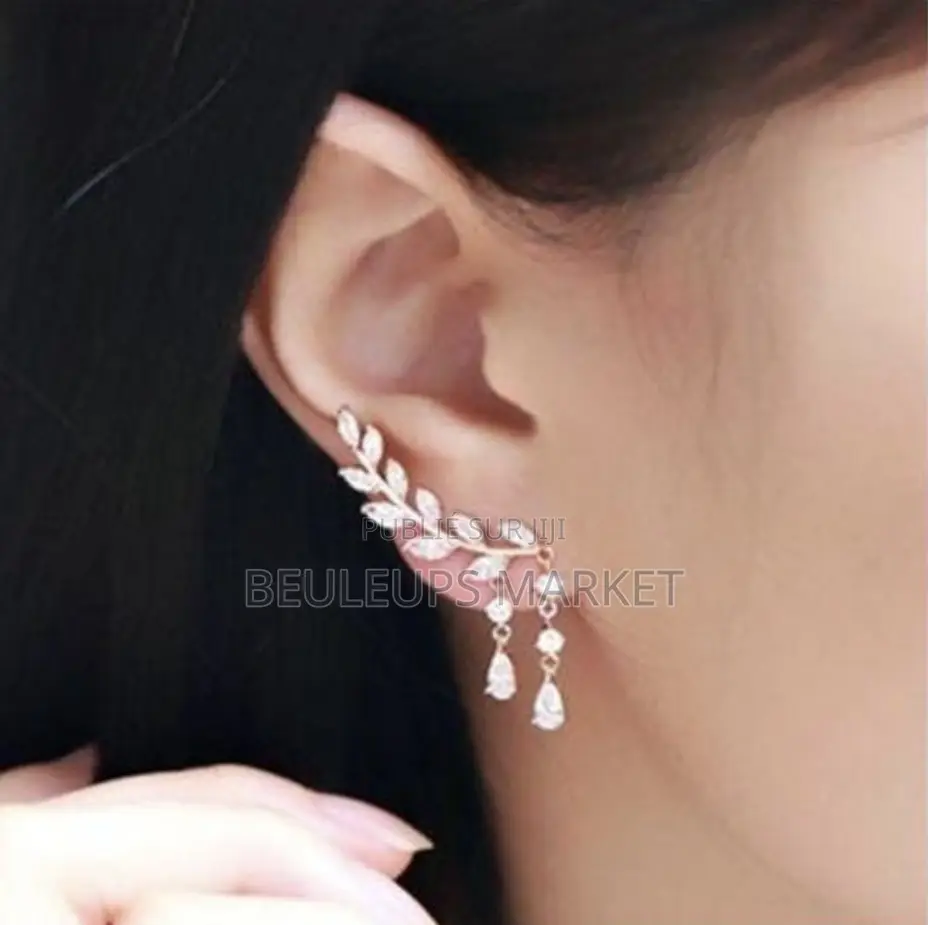 Boucle D’Oreille