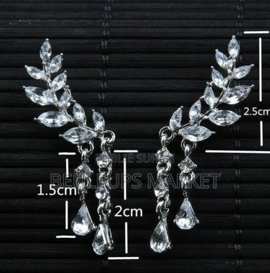 Boucle D’Oreille