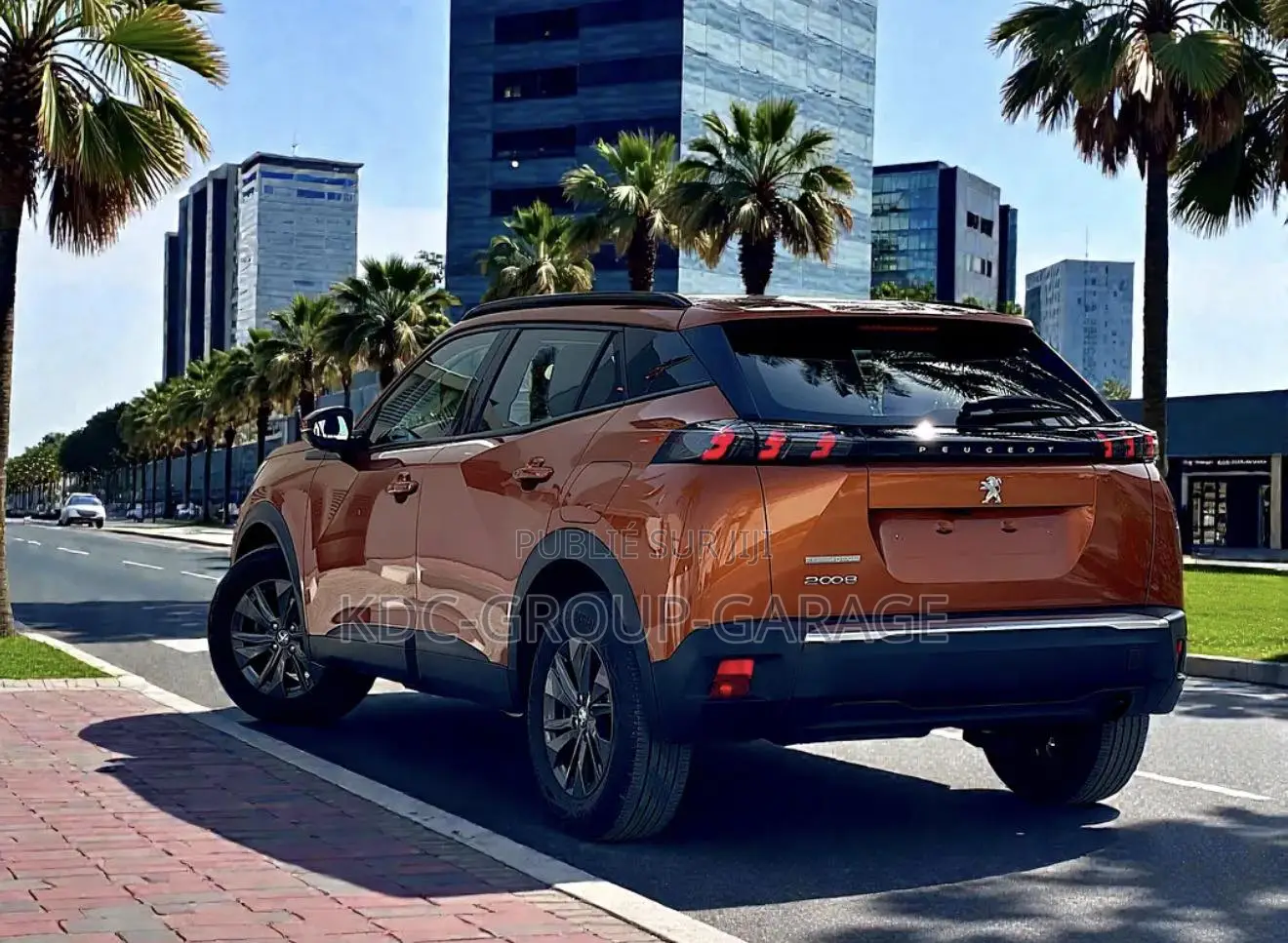 Peugeot 2008 2022 Autre