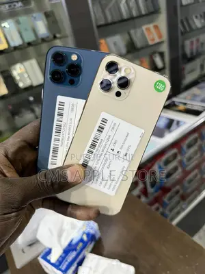 Apple iPhone 12 Pro Max 128 GB Autre