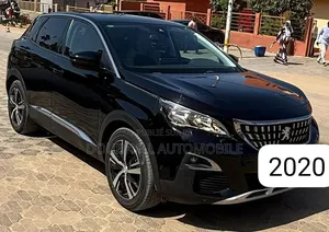 Peugeot 3008 2020 Autre