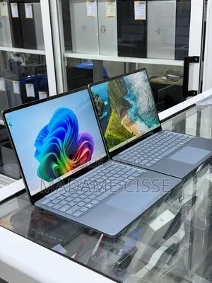 Nouveau Microsoft Autre 16GB Qualcomm Snapdragon X Plus SSD 512GB