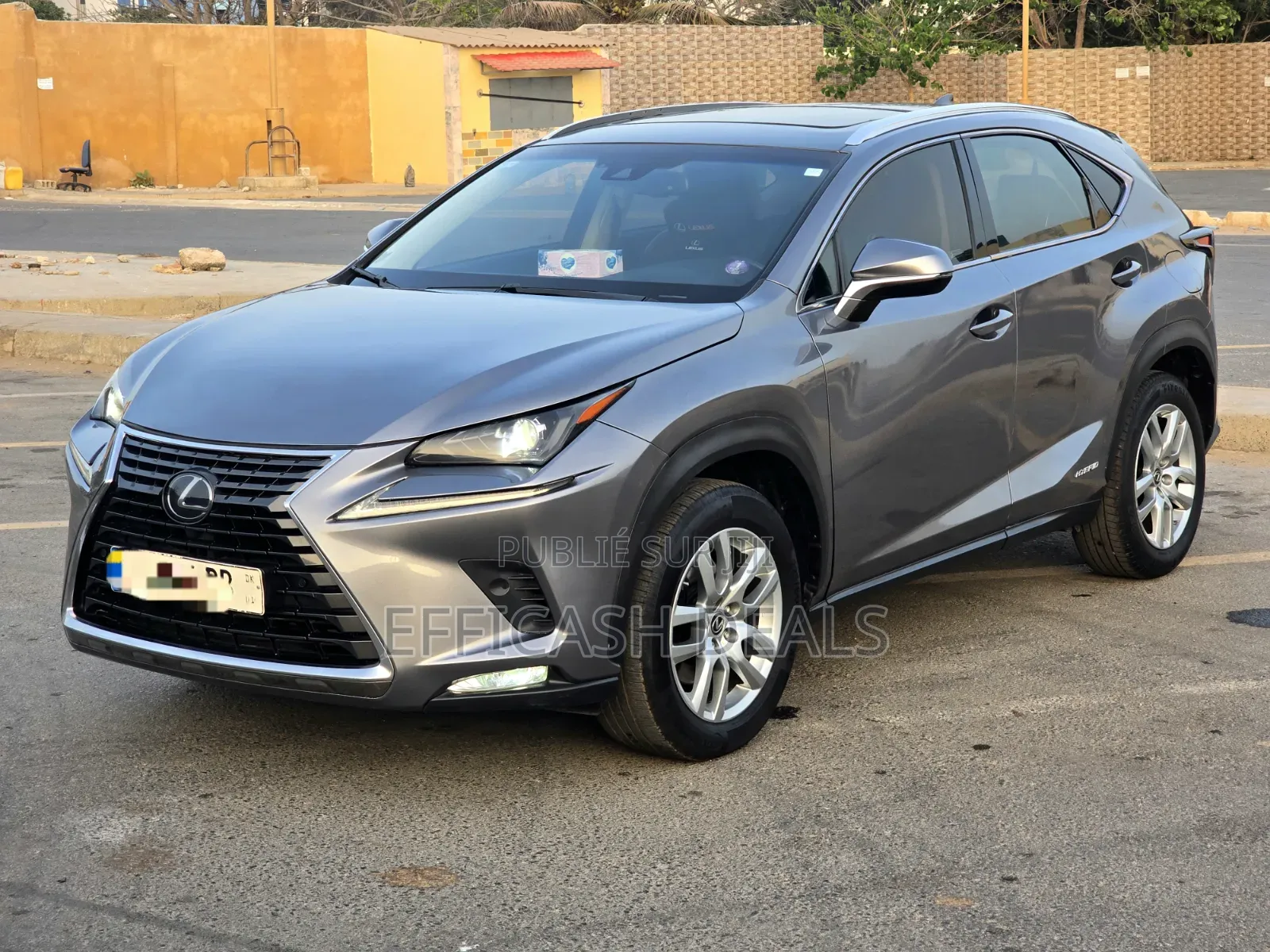 Lexus NX 300h AWD 2020 Gris
