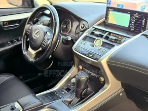 Lexus NX 300h AWD 2020 Gris