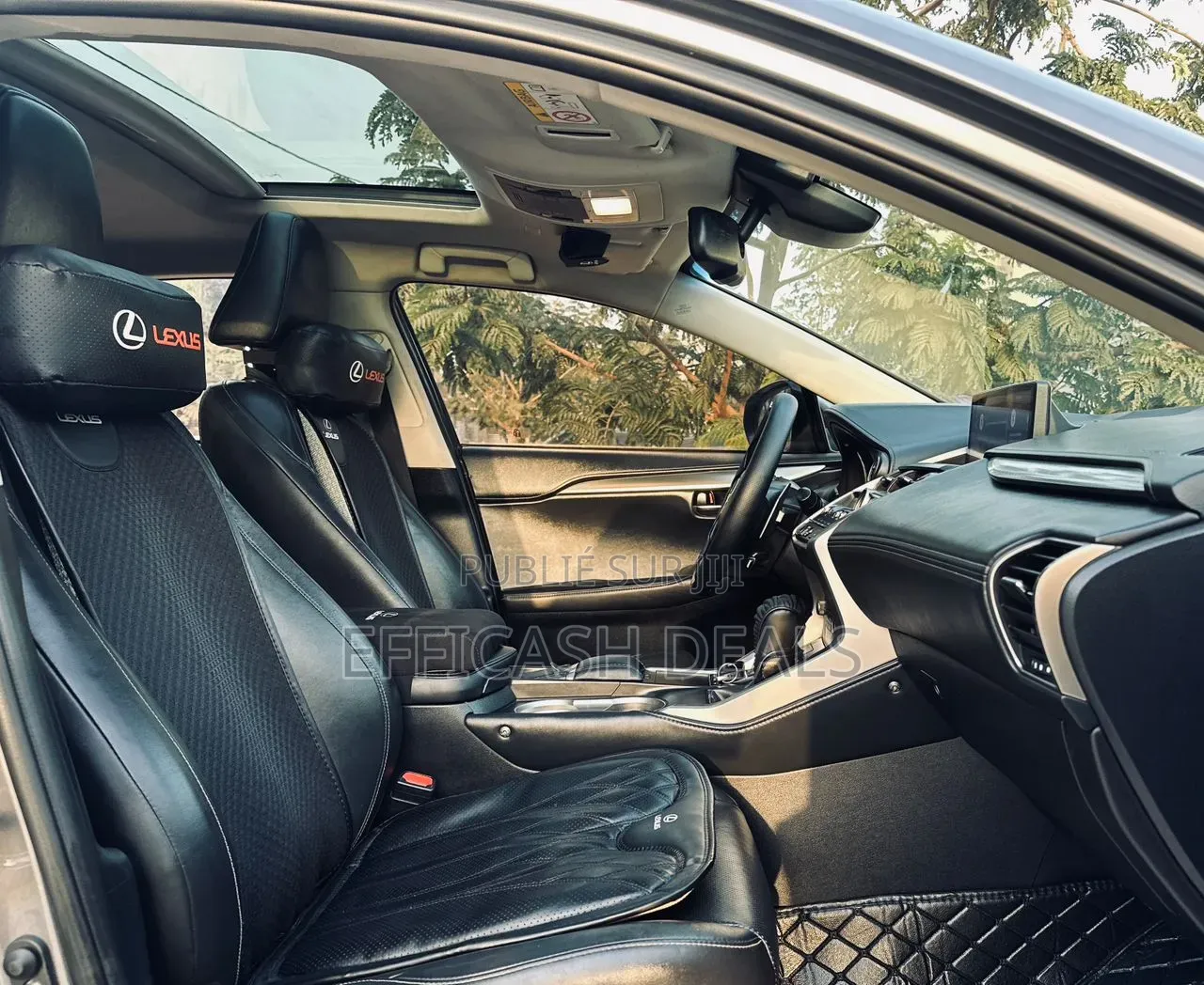Lexus NX 300h AWD 2020 Gris